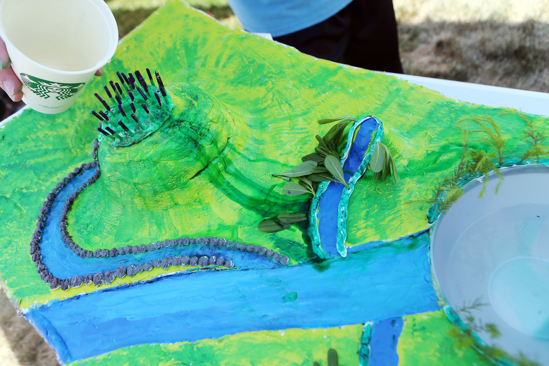Napa Earth Day Festival 2019